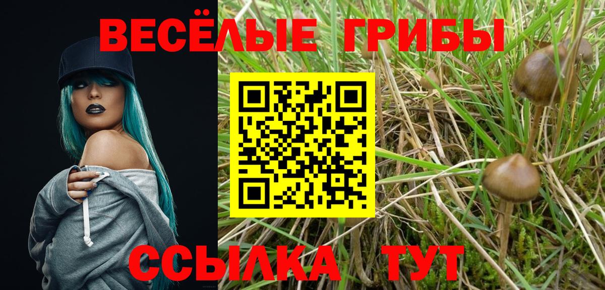 Галлюциногенные грибы мухоморы  Вход с VPN  Псков 