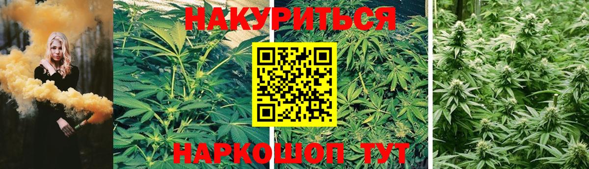 Конопля Amnesia Псков